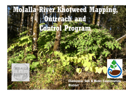 Molalla River Knotweed Mapping, Outreach and Control Program