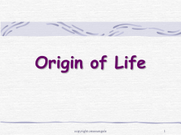 Origin of life - Biology Junction