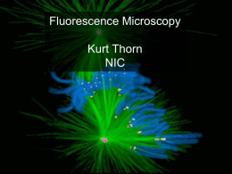 Fluorescence in Cell Biology