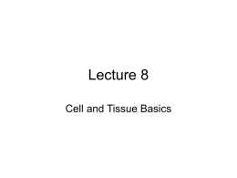 Lecture 5 - Home - Engineering