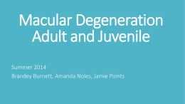 Macular Degeneration Adult and Juvenile