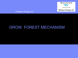 Grow Forest Certificate