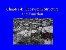 Chapter 4: Ecosystem Structure and Function