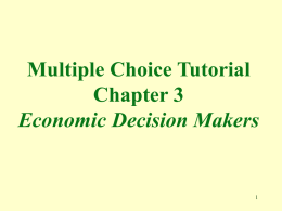 Multiple Choice Tutorial Chapter 4 The Economic Actors