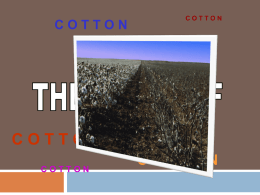 Cotton - Marion R-V School District
