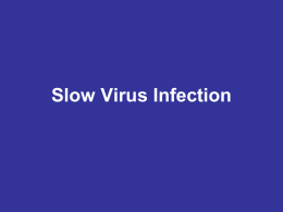 Slow Virus Infection