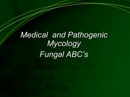 Invasive Fungal Infection Risk groups