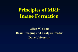 From Protons to Mapping the Mind