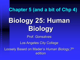 Chapter 5 - Los Angeles City College