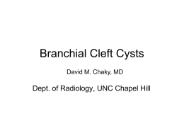 Branchial Cleft Cysts (NXPowerLite)
