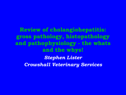 Review of cholangiohepatitis: gross pathology