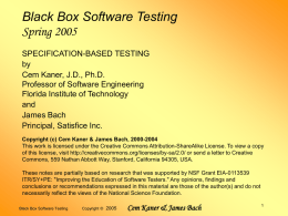 Black Box Software Testing Special Edition