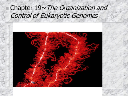 Lecture #8 Date