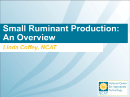Small Ruminant Production—An Overview