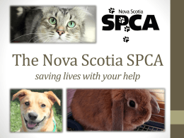 The Nova Scotia SPCA