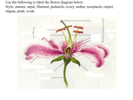 Structure and Function of the Flower
