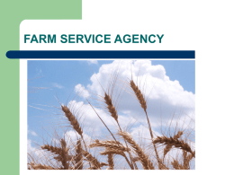 FARM SERVICE AGENCY