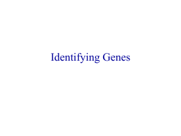 DNA and Gene Expression - Department of Psychology