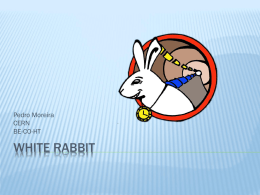 White Rabbit – The Protocol