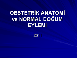 NORMAL DOĞUM EYLEMİ - University of Yeditepe Faculty of