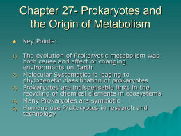 Chapter 27- Prokaryotes and the Origin of Metabolism
