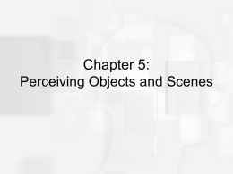 Chapter 5: Perceiving Objects