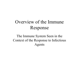PowerPoint Presentation - Overview of the Immune Response