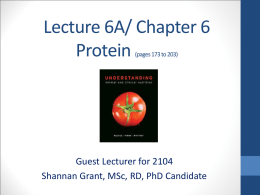 Lecture 6A/ Chapter 6 Protein