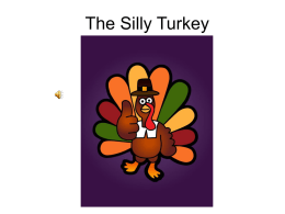 The Silly Turkey - Speaking of Speech