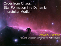 Order from Chaos: Star Formation in a Dynamic Interstellar