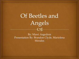 Of Beetles and Angels - Critical and Evaluative Reading