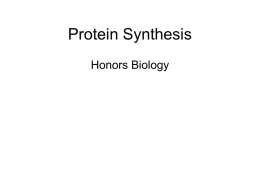 PROTEIN SYNTHESIS - Brandywine Heights Area School District