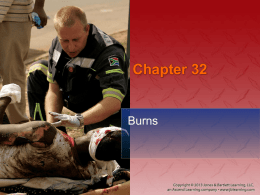 Chapter 32: Burns - Jones & Bartlett Learning