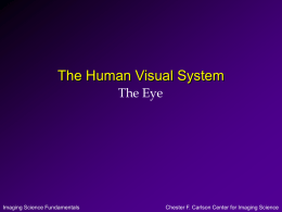 The Human Visual System - RIT Center for Imaging Science