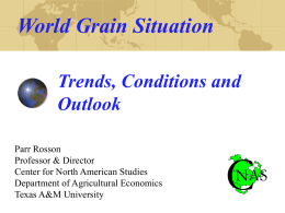 World Grain Situation - Texas A&M University