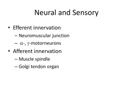 Neural and Sensory - Georgia Institute of Technology