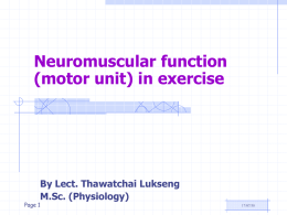 Neuromuscular function (motor unit) in exercise