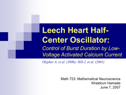 Leech Heart Half Center Oscillator