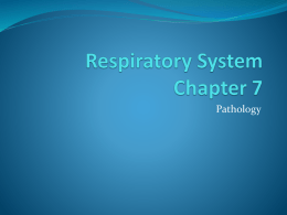 Respiratory System Chapter 7