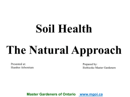 Composting and Mycorrhizae - Etobicoke Master Gardeners