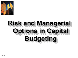 Chapter 14 -- Risk and Managerial Options in Capital Budgeting