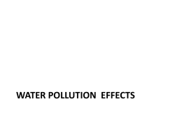Water pollution effects