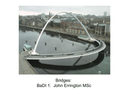 Bridges - skillbank 2014: Website design and IT support