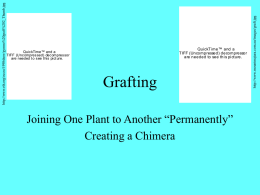 Grafting PPT