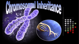 Chromosomal Inheritance