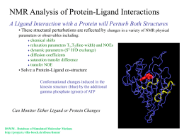 NMR Analysis of Protein