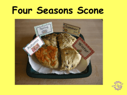 Four Seasons Scone