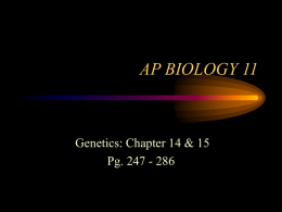 AP BIOLOGY 11 - Gorsic's Gameplan