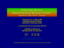 Differential Diagnosis Gastrointestinal Spindle Cell Tumors