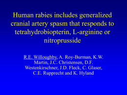 Pterins and monoamine metabolites in rabies
